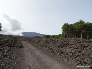 Monte Crisimo